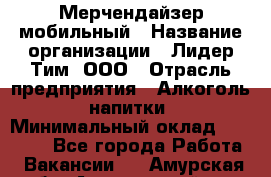 Мерчендайзер мобильный › Название организации ­ Лидер Тим, ООО › Отрасль предприятия ­ Алкоголь, напитки › Минимальный оклад ­ 43 000 - Все города Работа » Вакансии   . Амурская обл.,Архаринский р-н